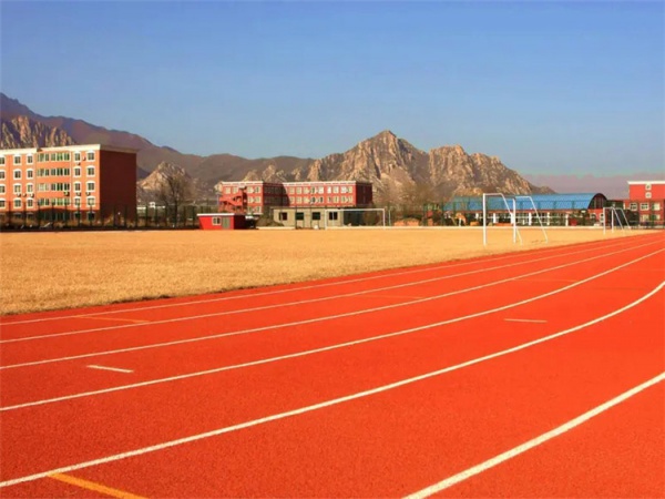 咸宁市EPDM地坪学校塑胶跑道 - 方案